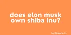 Does Elon Musk own Shiba Inu coin? thumbnail