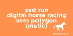 Zed Run Digital Horse Racing uses Polygon (MATIC) thumbnail