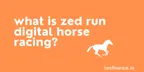 What is Zed Run Digital Horse Racing? thumbnail